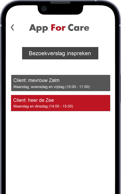 Bezoekverslag client overzicht